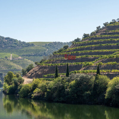 duoro_tal_portwein