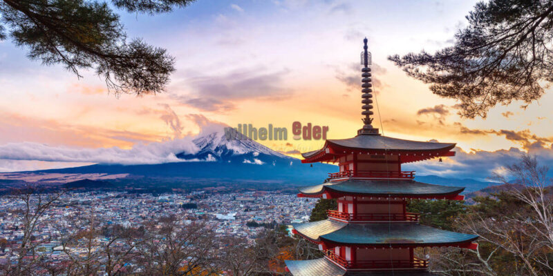 japanische_eiche_hoelzer_fuer_faesser