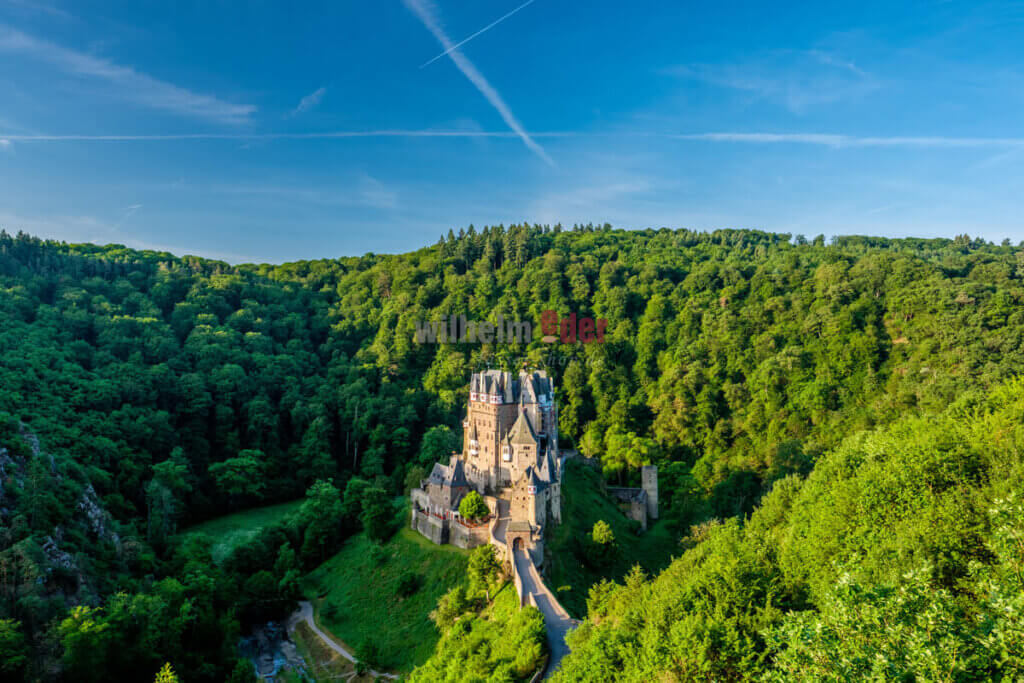 nachhaltigkeit_wald_holzverarbeitung