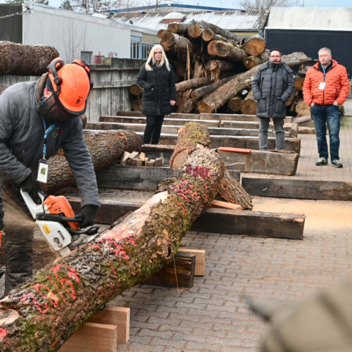 saegen_vom_baum_zum_fass saegen_vom_baum_zum_fass