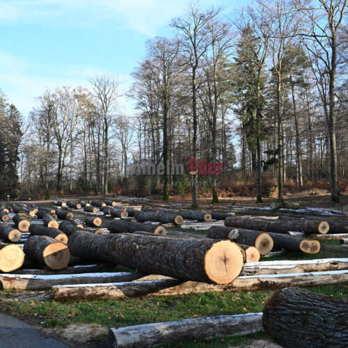 vom_baum_zum_fass_wertholzplatz_johanniskreuz_1 vom_baum_zum_fass_wertholzplatz_johanniskreuz_1